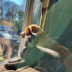 Meet your Posher, Tina